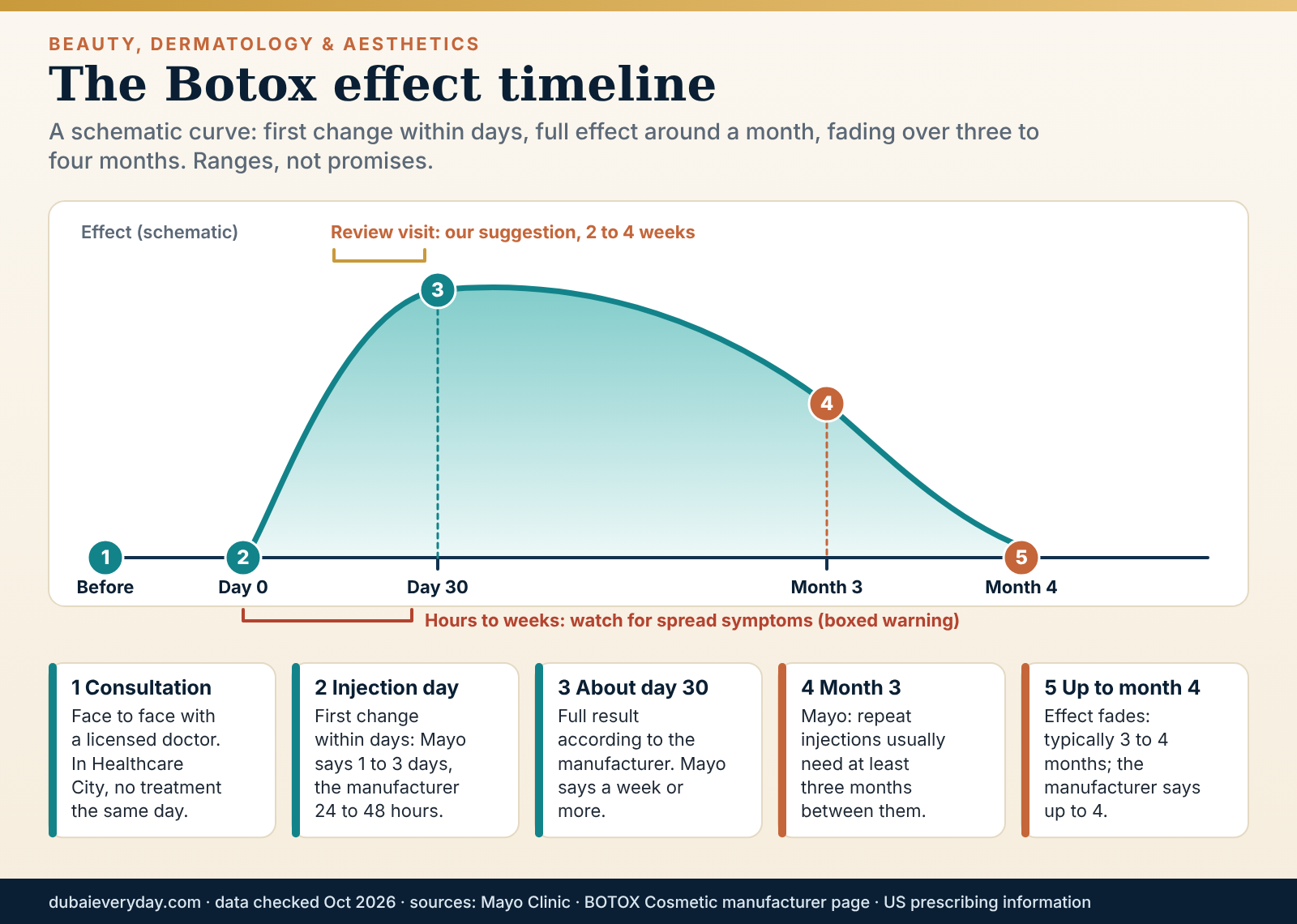 Timeline curve of a Botox Dubai treatment from consultation through onset in days to fading by month four