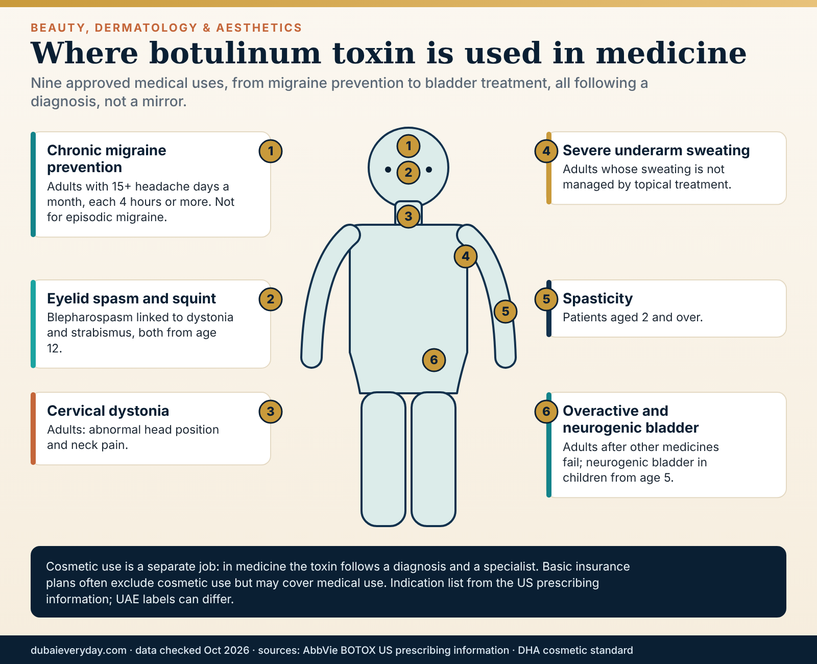Body outline of medical Botox uses: migraine, eyelid spasm, neck dystonia, sweating, spasticity, bladder in Botox Dubai care