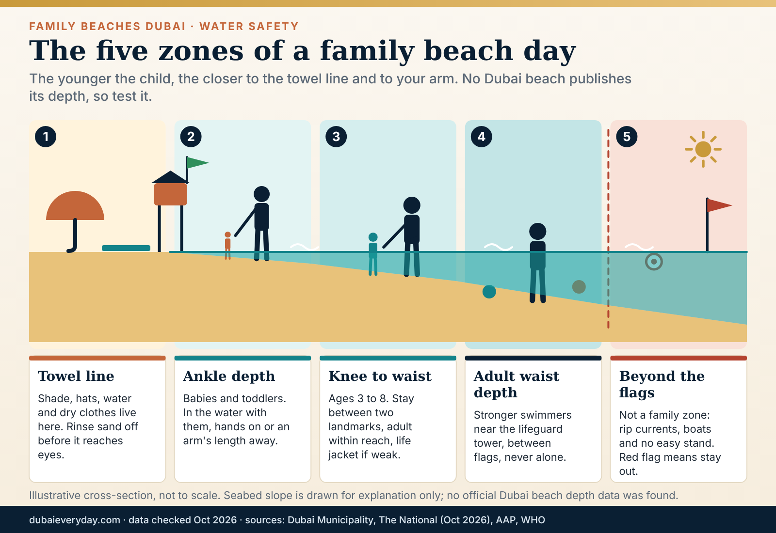 Cross-section of one of the family beaches Dubai offers, showing sand, paddle, waist-deep and lifeguard zones for children